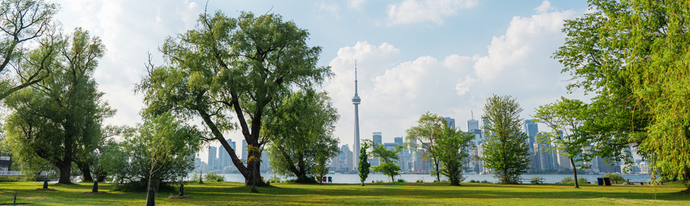 Toronto skyline with greenery.